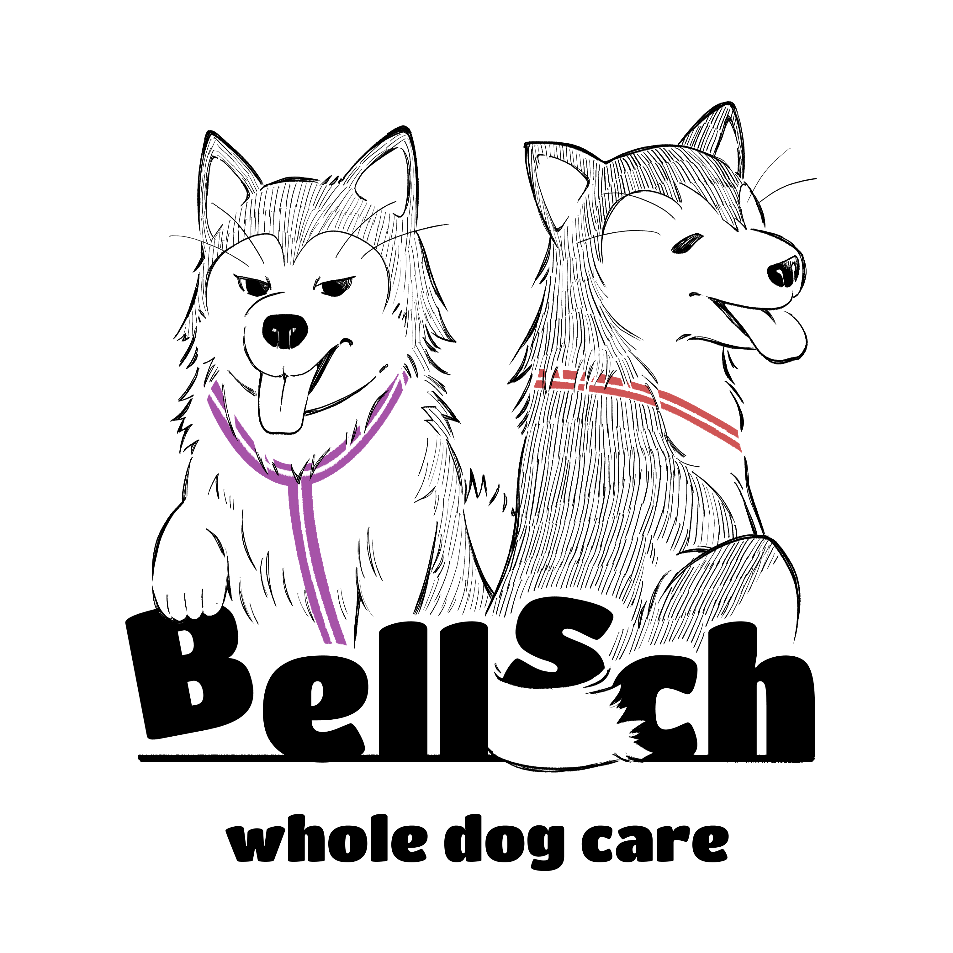 Bellsch